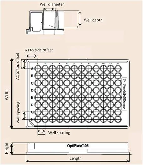 Technical drawing of a microtiter plate